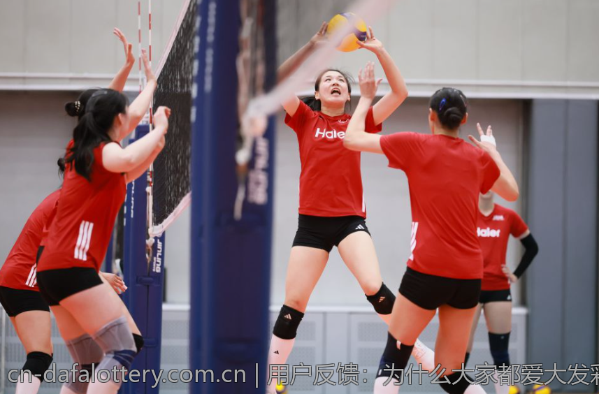 用户反馈：为什么大家都爱大发彩票手机经典版