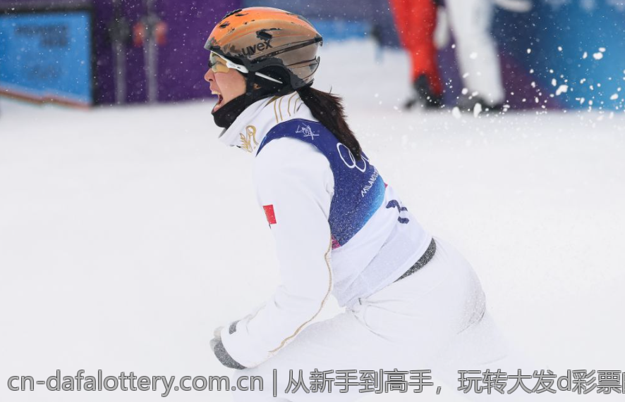从新手到高手，玩转大发d彩票的攻略