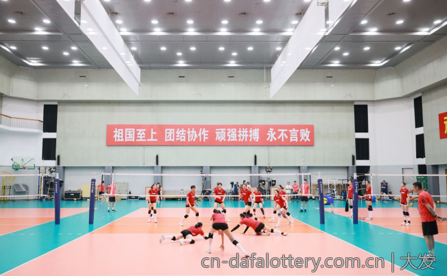 大发彩票体育的全面解析与发展趋势