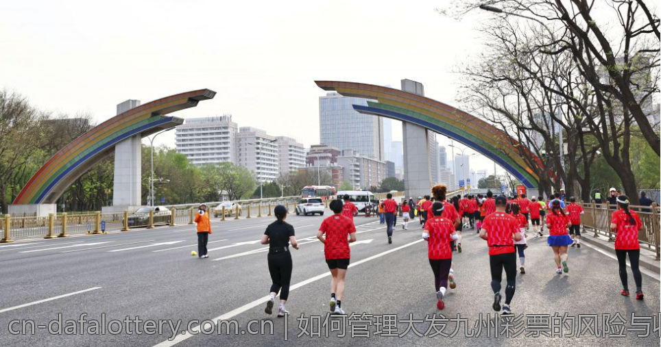 如何管理大发九州彩票的风险与收益